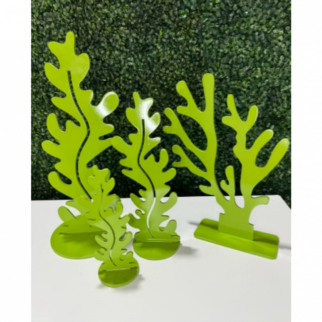 Alga Marinha Verde Folha M
