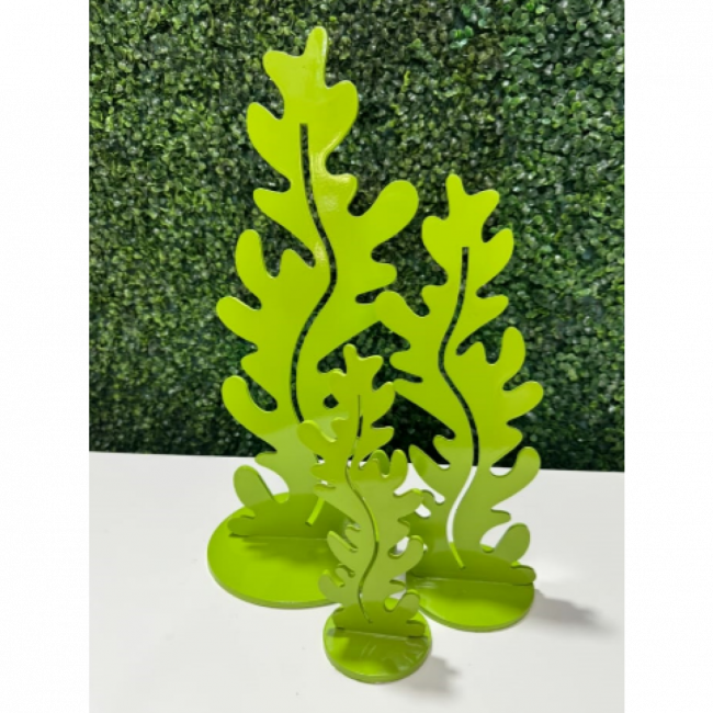 Alga Marinha Verde Folha M