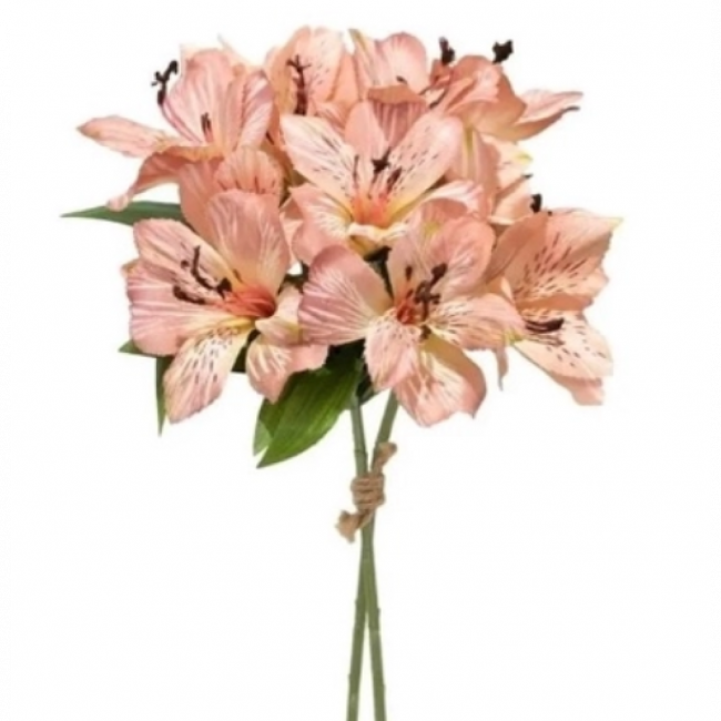 Buque Lirio Rose