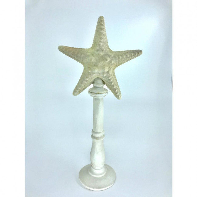 PEDESTAL ESTRELA DO MAR 44CM