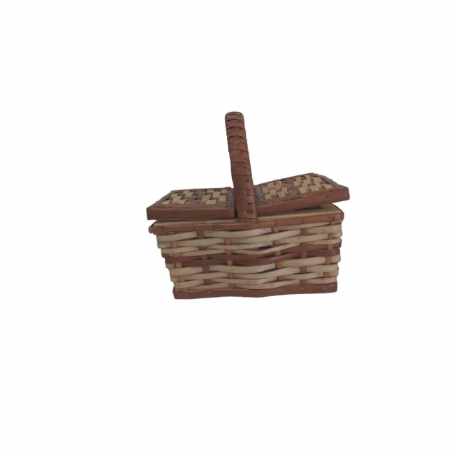 Cesta P