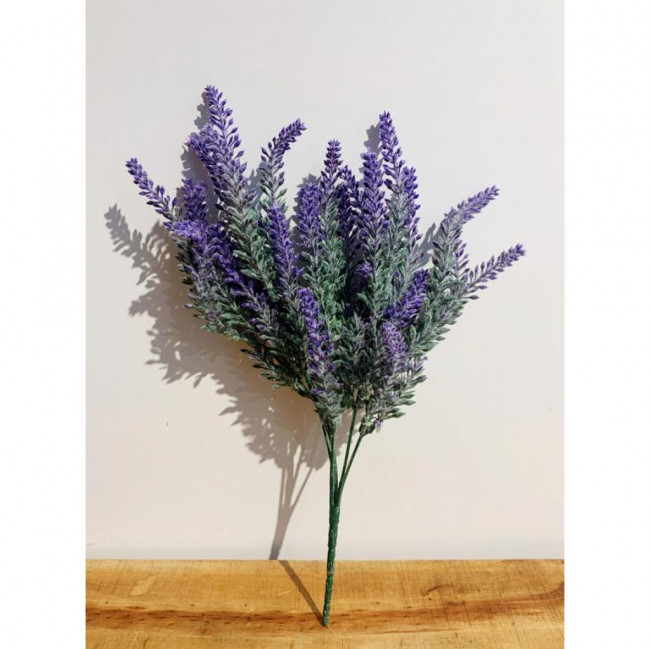 LAVANDA