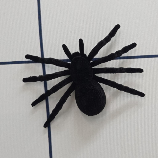 Aranha