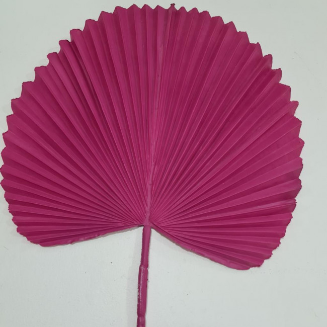 FOLHA LATÂNIA PINK SILICONE GRANDE