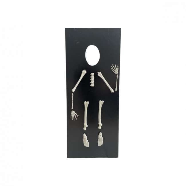 PAINEL RETANGULAR ESQUELETO HALLOWEEN INTERATIVO (1,70A x 0,70L)