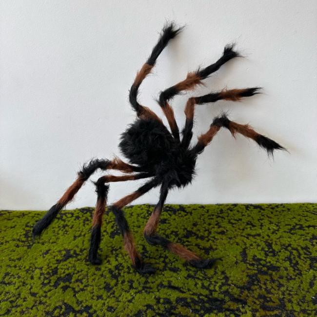 Aranha peluda preta Halloween