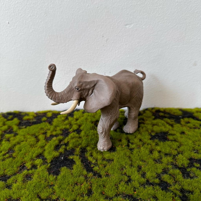 Elefante (P)