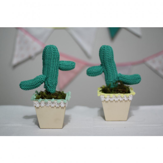 AMIGURUMI CACTOS