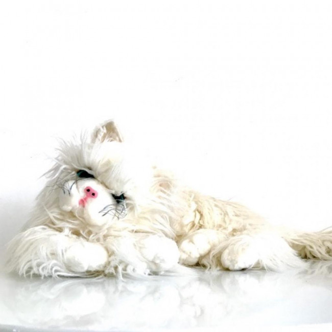 Gata grande