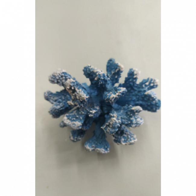 Coral azul