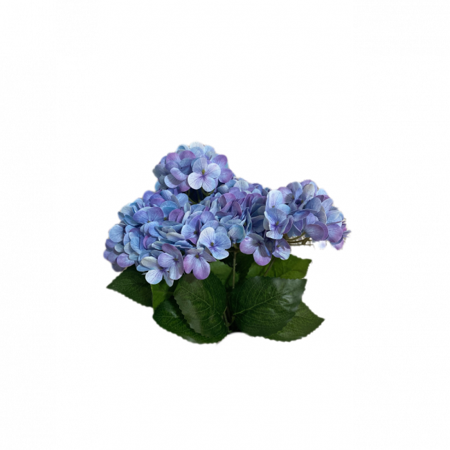 Flor azul