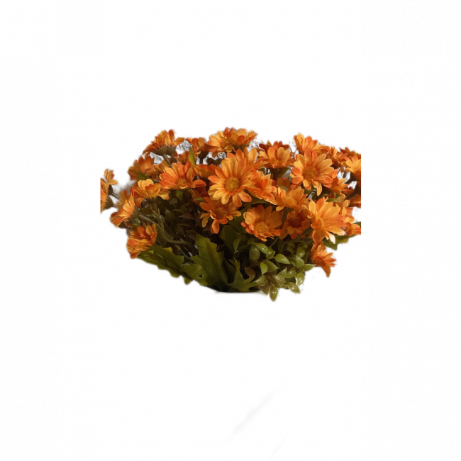 Flor laranja