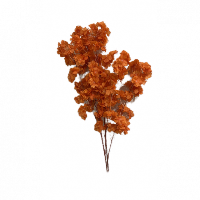Flor laranja