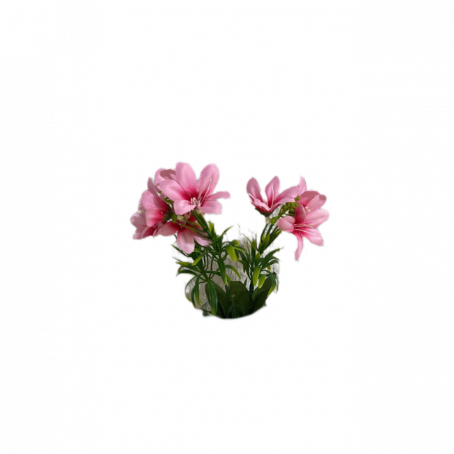 Flor rosa