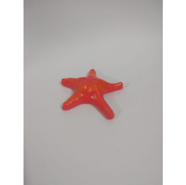 Estrela do Mar em Cerâmica