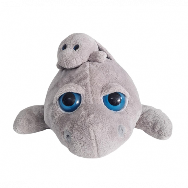 FOCA