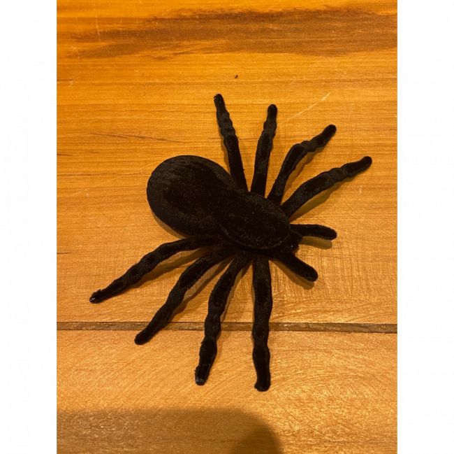 Aranha Veludo Halloween