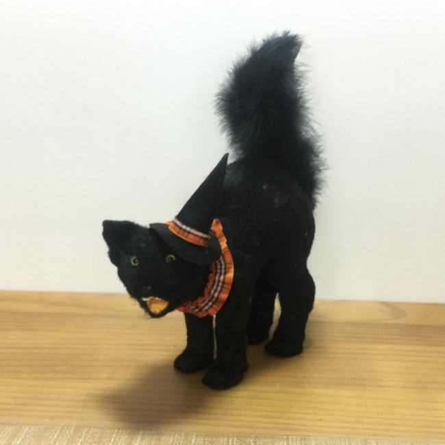 Halloween - Gato Preto EUA