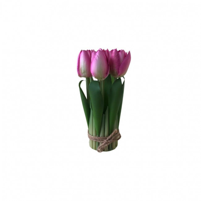 Flor Tulipa