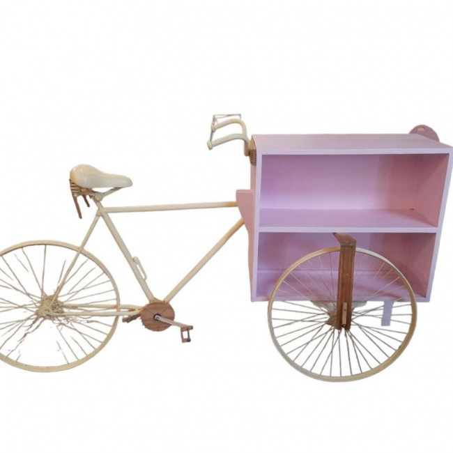 BIKE BOX ROSA