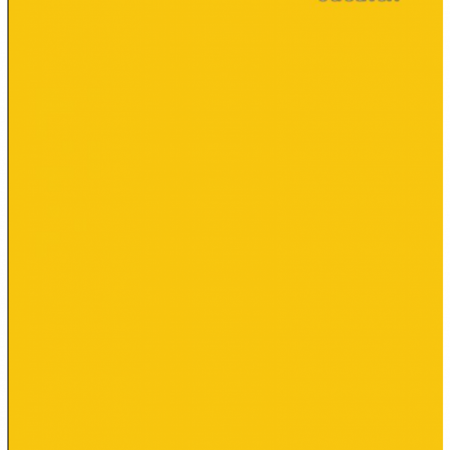 CAPA PARA CILINDRO AMARELO OURO  P  SL