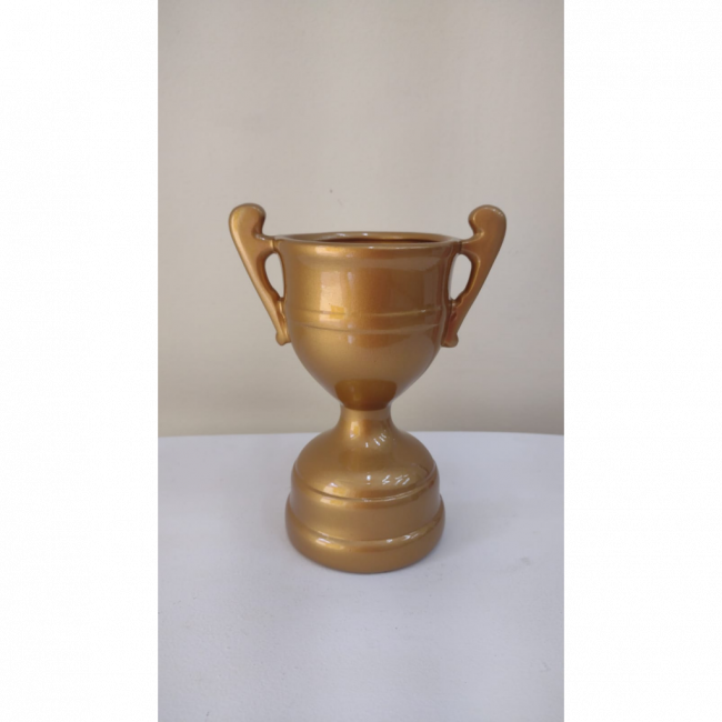 Troféu taça