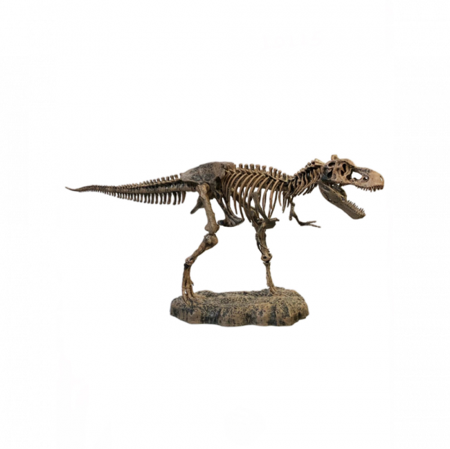 ESQUELETO DE DINOSSAURO GIGANTE RESINA MARROM (C 91 CM | L 21 CM | A 37 CM)