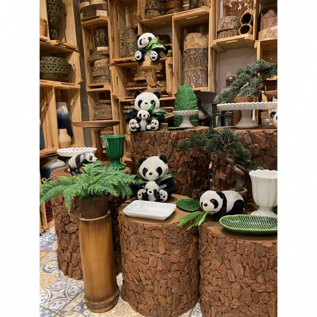 SET PANDAS