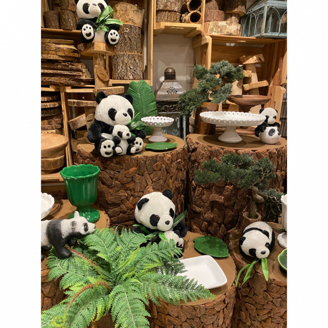 SET PANDAS