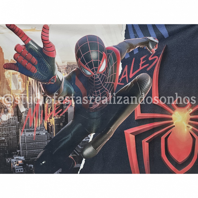 PAINEL RETANGULAR HOMEM ARANHA 2