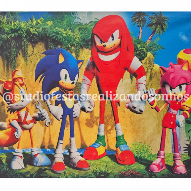 PAINEL RETANGULAR SONIC 1