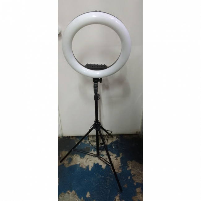 Ring Light PL 360