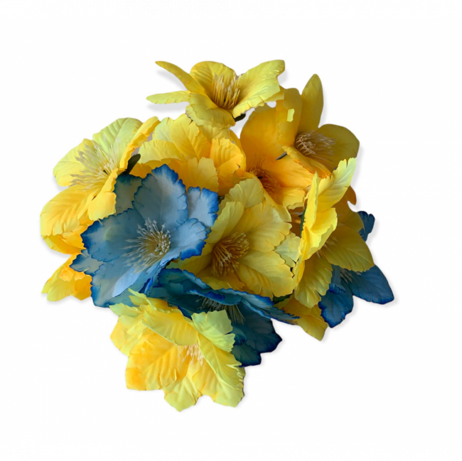 Flores Amarelo com Azul