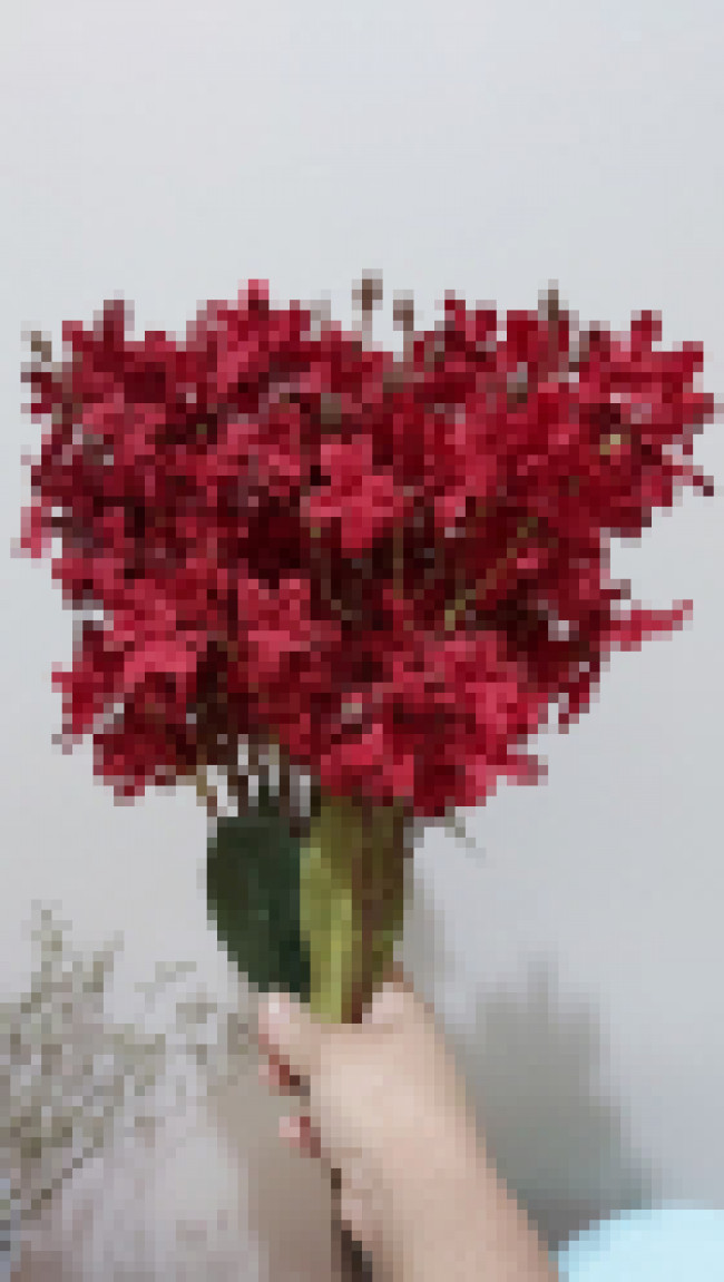 BUQUET DE MINI MARGARIDA VERMELHA