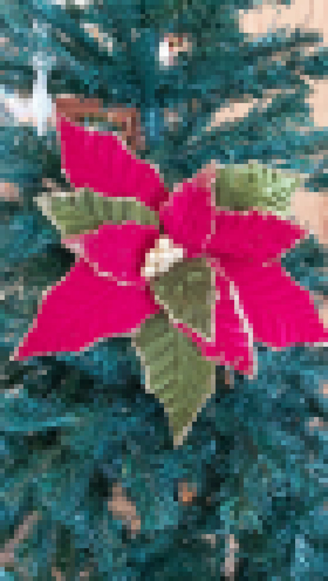 Flor Bico de Papagaio