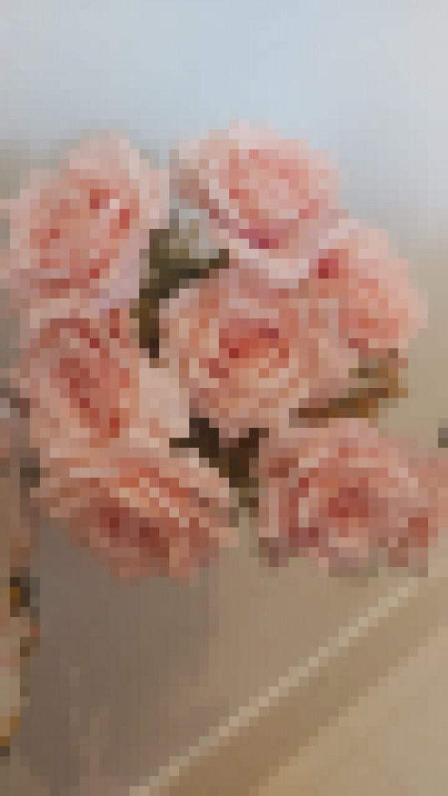buquet de rosas (rosa chá)
