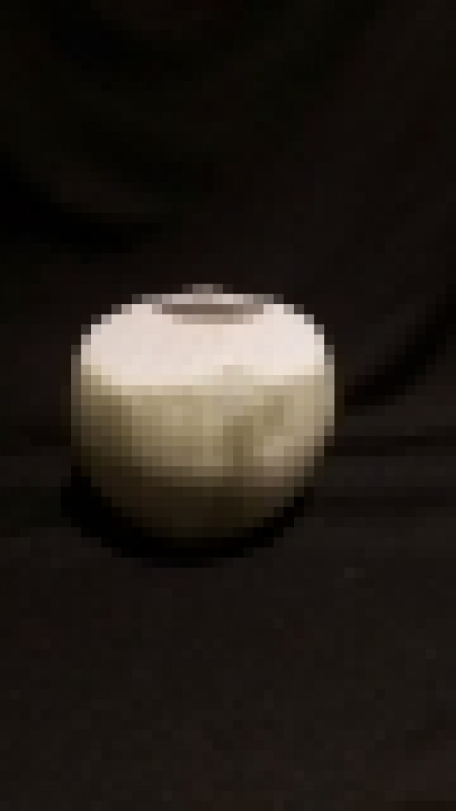 CACHEPOT COCO VERDE