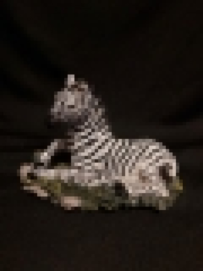 ZEBRA DEITADA