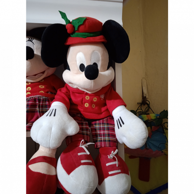 MICKEY NATAL