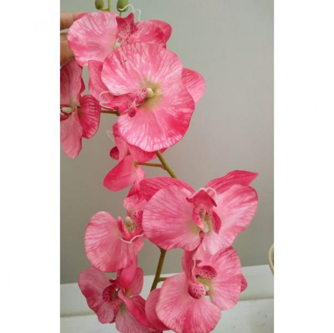 ORQUÍDEA 1