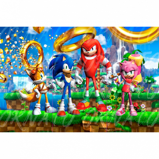 ..Sonic - Painel 4.55m(L) x 3.1m (A)