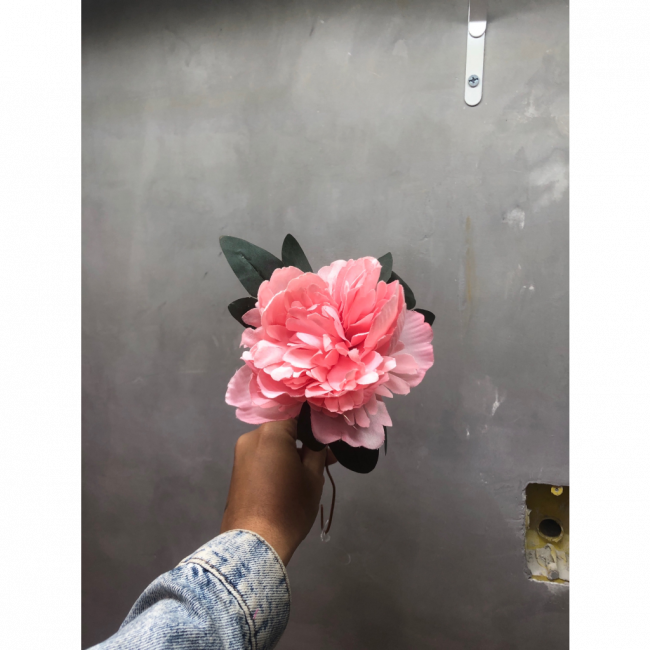 Rosa