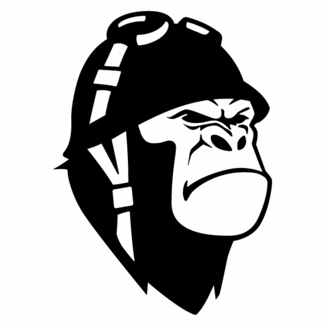 ESCADA EXTENSIVEL 3.20M