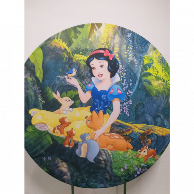 Painel Sublimado Branca de Neve ( Tecido 1,5m)