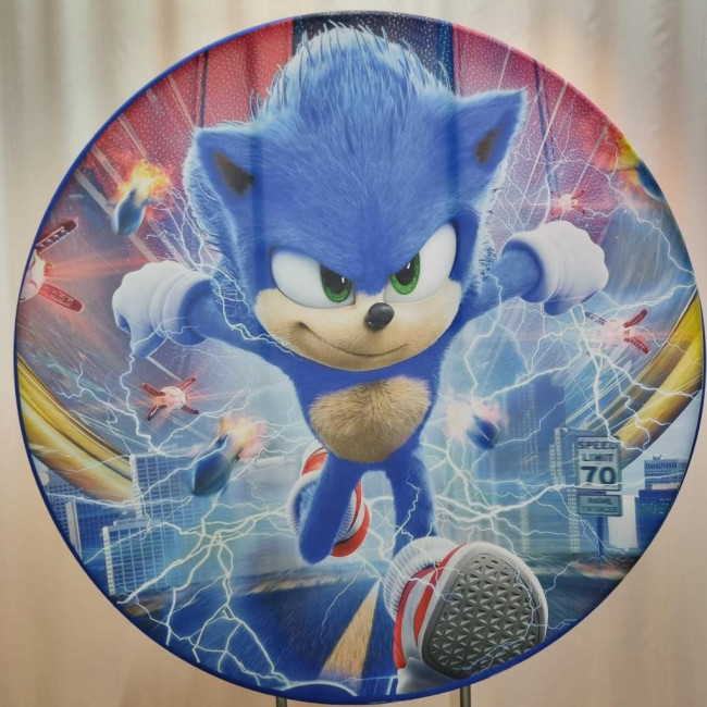 Painel Sublimado Sonic Raio ( Tecido 1,50m)