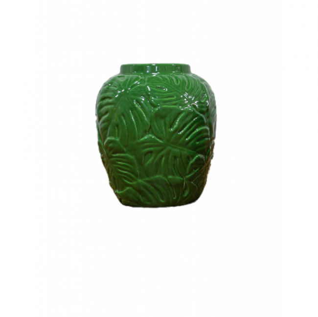 Vaso Costela de Adao Verde M