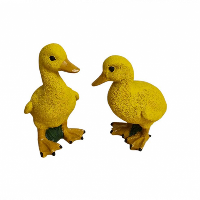 Dupla Patos Resina