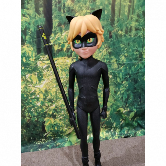Cat noir Lady Bug