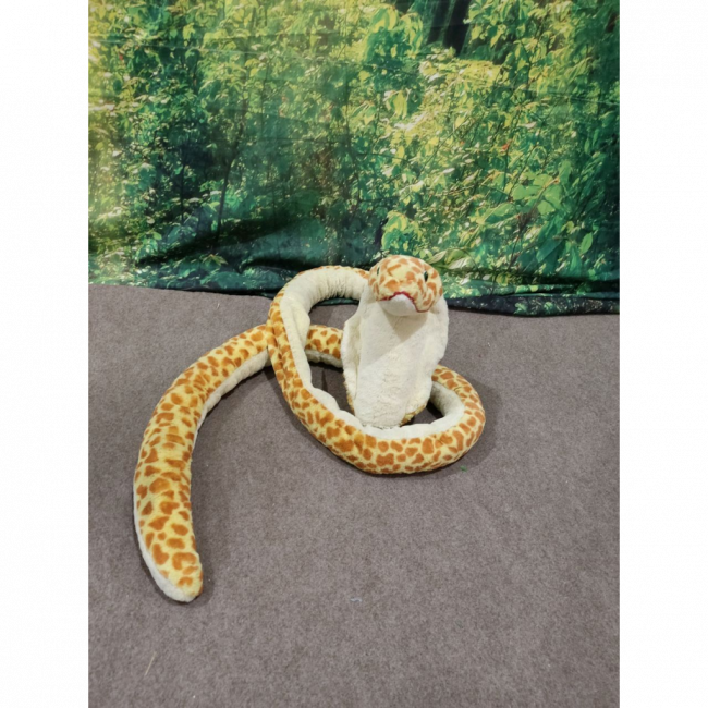 Cobra Naja Amarela