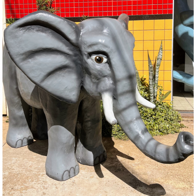 Elefante (Safári)
